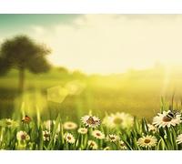 Utopian Dreams and Dystopian Nightmares