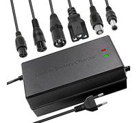 UURRPP 58.8 V 5 A Li-ion battery charger multiple plugs