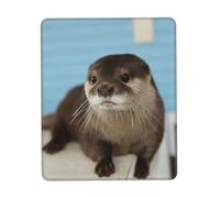 Uusnwaa Cute Otter Print Mouse Pad,Non-Slip Rubber Base,Stitched Edges,Waterproof & Washable For Gaming Office Home Laptop