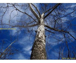 UV (Haze) 1A Multicoated | Multithreaded Glass Filter (52mm) For Canon EOS Rebel T3i