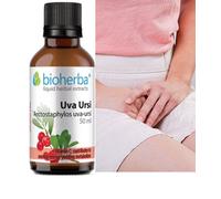 Uva-Ursi Bearberry Herbal Liquid Extract Tinctire,50ml