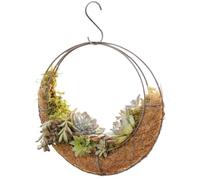 UWEOTYYY Moon Planter, Hanging Moon Planter Round Iron Ventilated Wire Basket with Hook DIY Decorative 11x3.5x11in Hanging for Succulent, Succulent