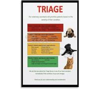 UYCUODLUY Dog Cat First Aid Guide Poster Pet Emergency Care Chart Symptoms and What to Do Knowledge Wall Decor for Pet Owners Home(Unframed,16x24inch(40x60cm))