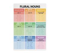 UYCUODLUY Essential English Grammar Metal Sign Plural Nouns Rules Chart Visual Learning Guide Educational Tool For Classroom Homeschool Wall Decor 8 X 12 in