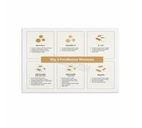 UYCUODLUY Food Hygiene Poster Guidelines Chart Educational Canvas Wall-Art Print for Culinary Classroom Training Office Decor(Unframed,08x12inch(20x30cm))