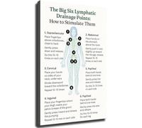 UYCUODLUY How to Stimulate Lymphatic Drainage Points Poster Educational Wall-Art Ideal for Kitchen Living Room Bedroom Room Decor(Unframed,12x18inch(30x45cm))