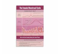 UYCUODLUY Reproductive System Hormones Chart Menstrual Cycle Biology Wall-Art Print for Classroom Study Room(Unframed,16x24inch(40x60cm))