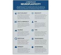 UYCUODLUY Ten Principles Neuroplasticity Brain Plasticity Poster Cognitive Growth Guide Educational Canvas Wall-Art Living Room Bedroom(Unframed,12x18inch(30x45cm))