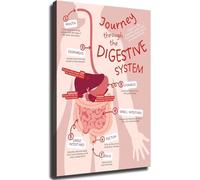 UYCUODLUY Vintage Anatomy Wall-Art Canvas Prints The Human Digestive System Chart Poster for Room Aesthetics Study Office Decor(Unframed,12x18inch(30x45cm))