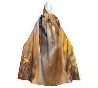 UYHhgqw The Little Dog Gazing At The Sky Halloween Witch Costume - Men'S And Women'S Hooded Cloak - Horror Horror Halloween Costume - Cosplay Costume