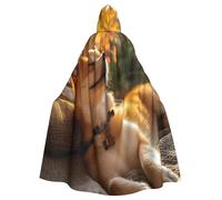 UYHhgqw The Puppy In The Dream Halloween Witch Costume - Men'S And Women'S Hooded Cloak - Horror Horror Halloween Costume - Cosplay Costume