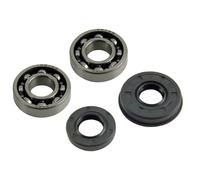 UYTGFO Fit for 2500 25CC 25.4CC Mini Chainsaw Zenoah G2500 TOPSUN Anova STIGA Zomax Crankshaft Oil Seal Grooved Ball Needle Bearing Kit