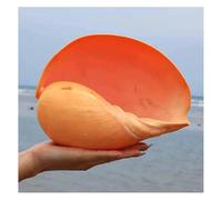 UZAMIRLEX Seashells Decoration for Crafting, Large Natural Sea Shells 8-13Cm for Decoration And DIY Crafts(10~12cm)
