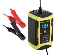 V 6a Battery Charger for Truck and Auto with Lcd Display