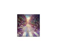 V/A: ABBEY ROAD REIMAGINED - CD