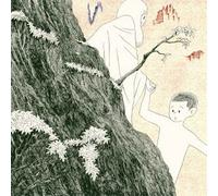 V.A. - Casrnation Tribute Album Nande Kimi Wa Bokuyori Boku No Koto Kuwashino? [Japan CD] PCD-28023