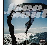 V.A. - Free Soul Windy City Brunswick Treasure [Japan CD] CDSOL-5792