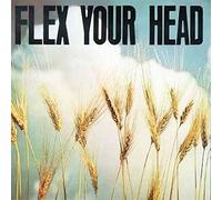 V/A Indie Rock - Flex Your Head [VINYL]