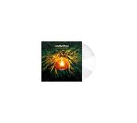 V/A: LATE NIGHT TALES: JORDAN RAKEI (ROUGH TRADE EXCLSUIV - LP vinyl BRAND NEW