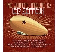 V/A - LED ZEPPELIN - THE ULTIMATE TRIBUTE VOL. 2 - Vinyl Record - P3z