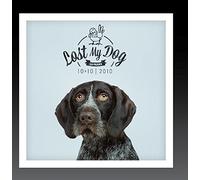 V/A - Lost My Dog 10x10 - 2010