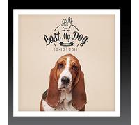 V/A - Lost My Dog 10x10 - 2011