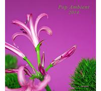 V/A - Pop Ambient 2014