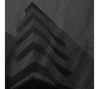 V/A - Present Tense [VINYL]