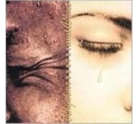 V/A: RHYTHM COUNTRY & BLUES - CD