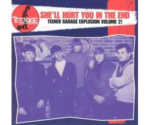 V/A: TEENAGE SHUTDOWN - SHE'LL HURT YOU IN THE END - LP vinyl SEALED