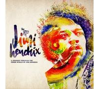 V/A: THE MANY FACES OF JIMI HENDRIX - LP vinyl BRAND NEW