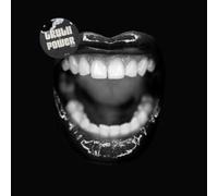 V/A: TRUTH TO POWER PROJECT - LP vinyl BRAND NEW