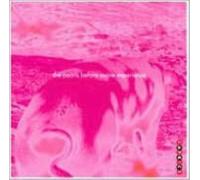 V/A: WAKE UP: PEARLS BEFORE SWINE EXPERIENCE/VARIOUS - CD