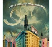 V/A - WHILE NO ONE WAS LOOKING: NEW VINYL RECORD