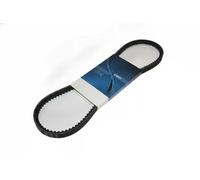 DAYCO 13A1365HD V-Belt