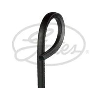V-belt AV17X1000HD GATES for MAZDA 323 III Hatchback 323 III Saloon