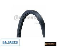 V-Belt for AUTO UNION BMW BORGWARD CONTINENTAL CTAM AVX10X975