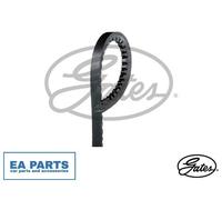 V-Belt for LAND ROVER 110/127 90 DEFENDER Cabrio GATES AVX13X725HD