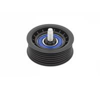 Ina Deflection/Guide Pulley 532090610 – V-ribbed Belt
