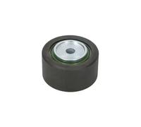 BTA E2P5955BTA Deflection / Guide Pulley, v-ribbed belt