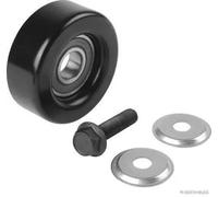 Herth+Buss Deflection/Guide Pulley J1145085 – V-ribbed Belt