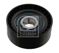 FEBI BILSTEIN 100172 Deflection / guide pulley, V-ribbed belt