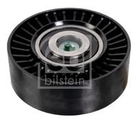 febi bilstein 30119 Idler Pulley for auxiliary belt drive, pack of one