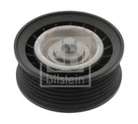 FEBI BILSTEIN 47333 Deflection / guide pulley, V-ribbed belt