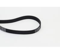 V-belt set CONTINENTAL CTAM 6PK1660 for AUDI BMW CITROËN FIAT HYUNDAI