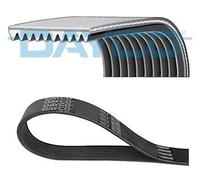 New V-Ribbed Belt 981338 20430384