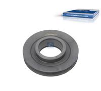 DT Spare Parts 4.61520 Tensioner Pulley, V-belt