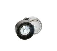 Tensioner Lever, V-ribbed bel BTA E3F0008BTA for FIAT IDEA (350_) 1.8 2008-2010