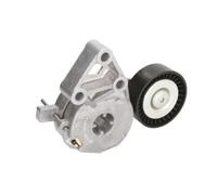 BTA E3W0001BTA Tensioner pulley