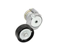 Tensioner Lever, V-ribbed bel BTA E3W0022BTA for SEAT LEON (1M1) 1.4 1999-2006